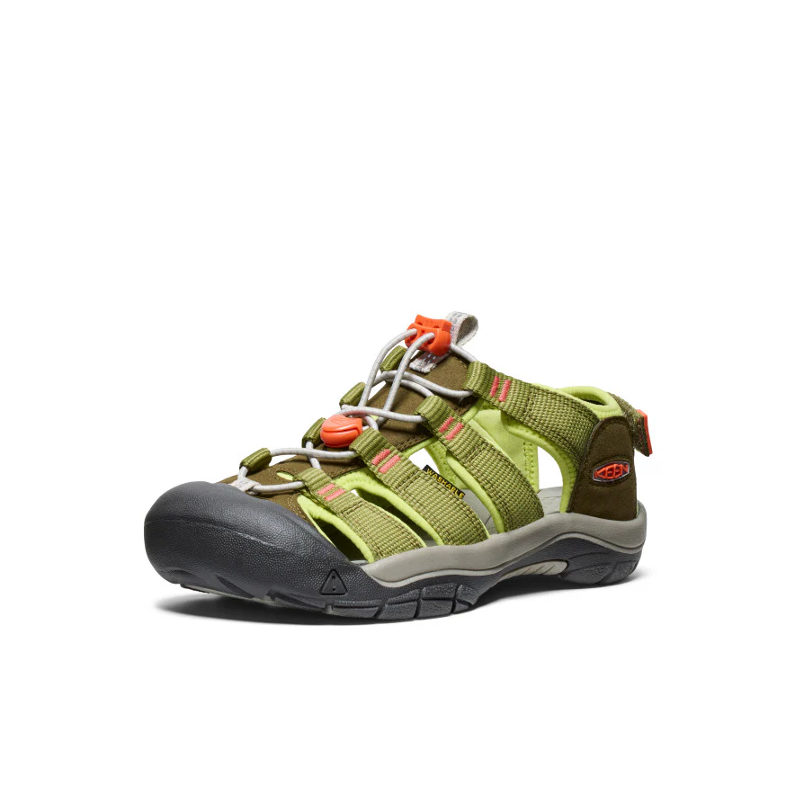 Miniatuur 3