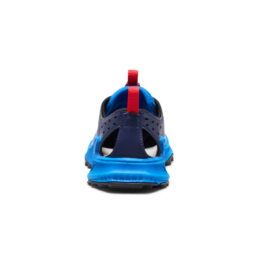 Miniatuur 5