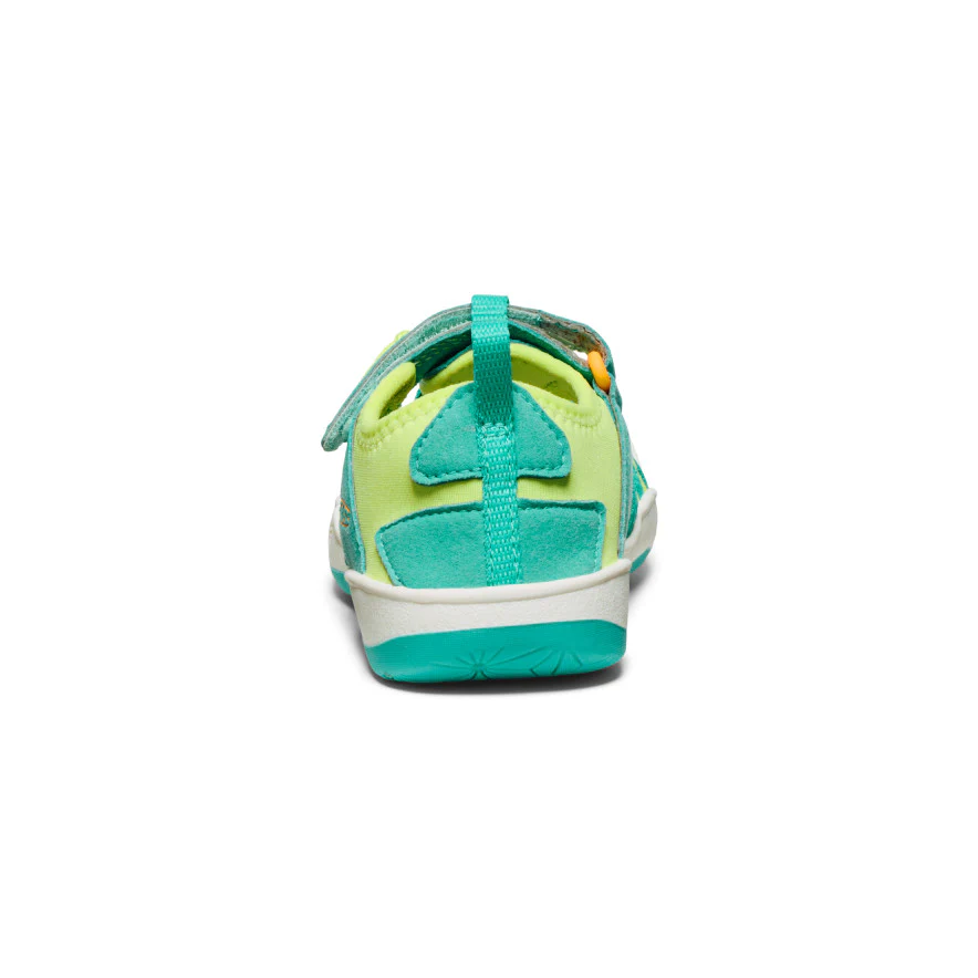 Miniatuur 11