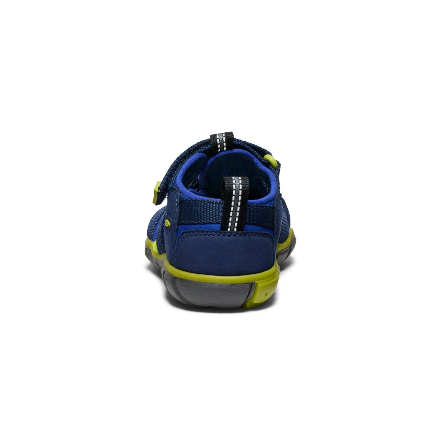 Miniatuur 66