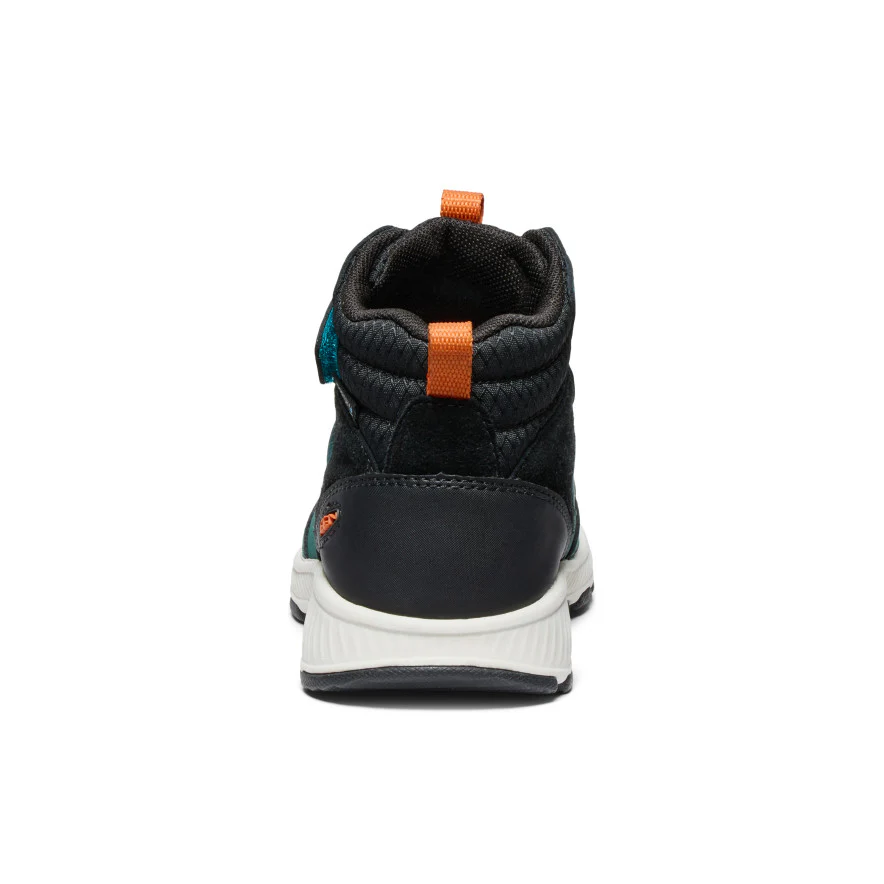 Miniatuur 17