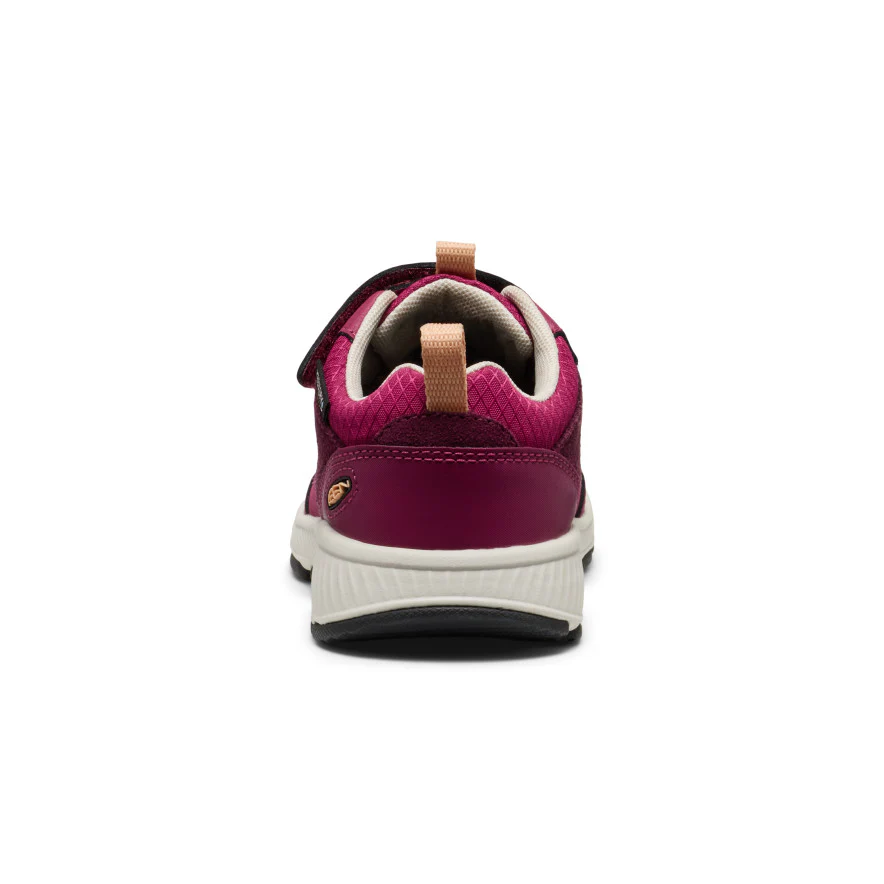 Miniatuur 11