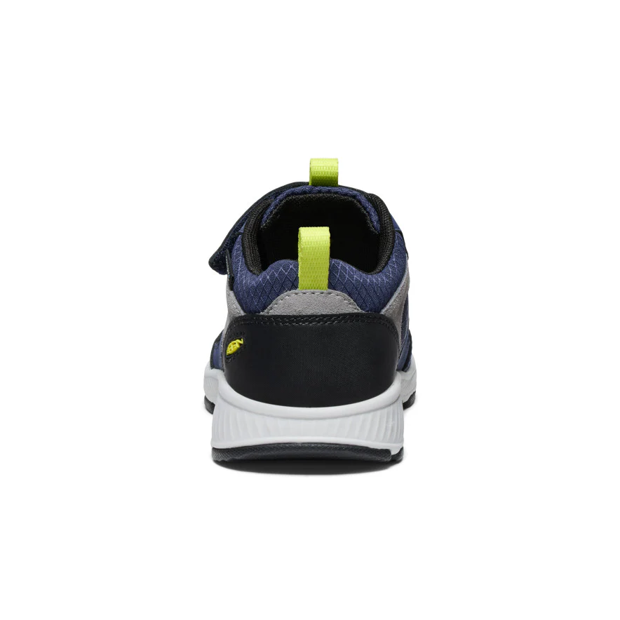 Miniatuur 5