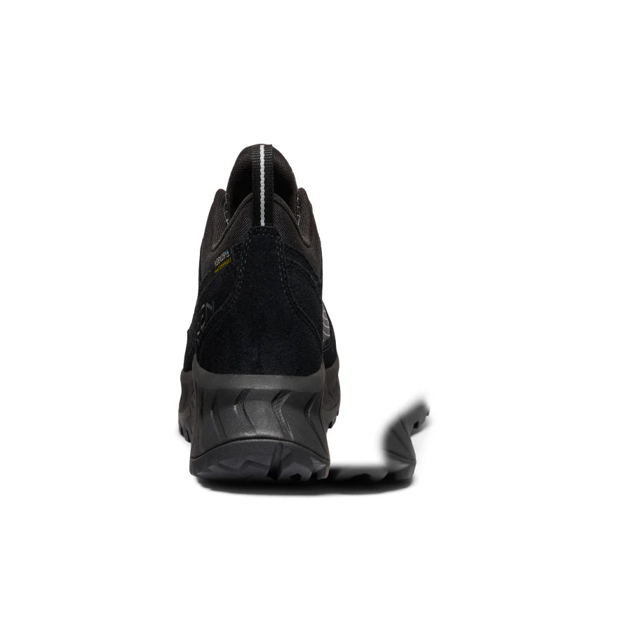 Miniatuur 5